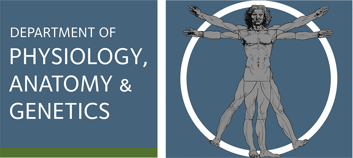 Department of Physiology, Anatomy and Genetics