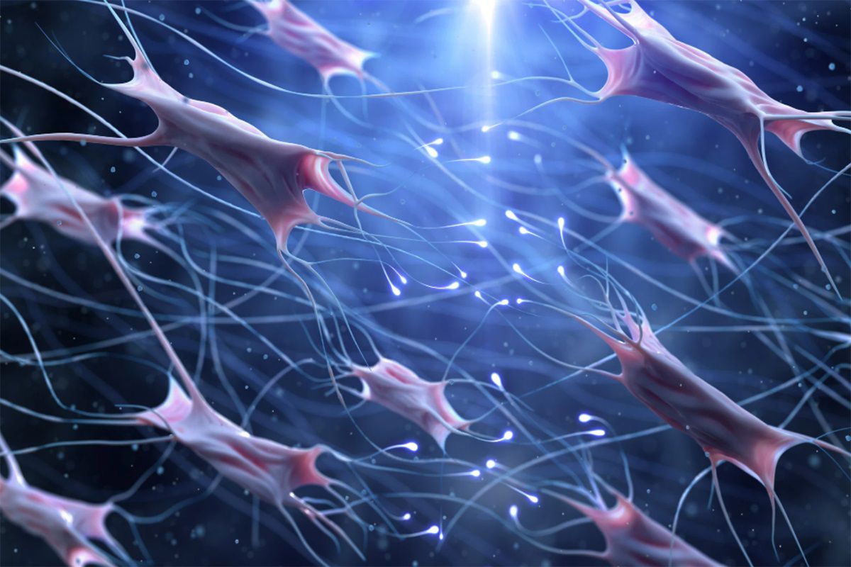 Fibroblasts.jpg