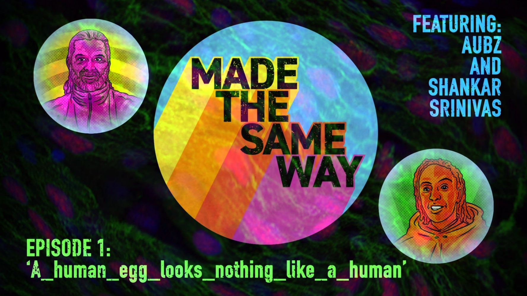 'Made the Same Way' podcast with Professor Shankar Srinivas