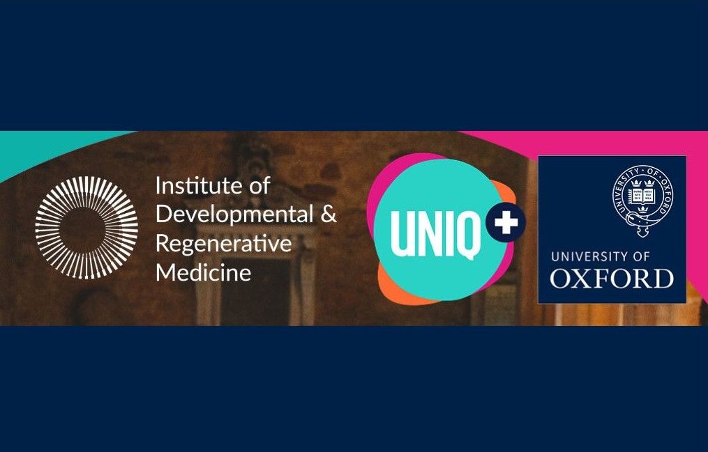 Unlocking Potential: UNIQ+ Students' Summer Journey :: Institute of ...