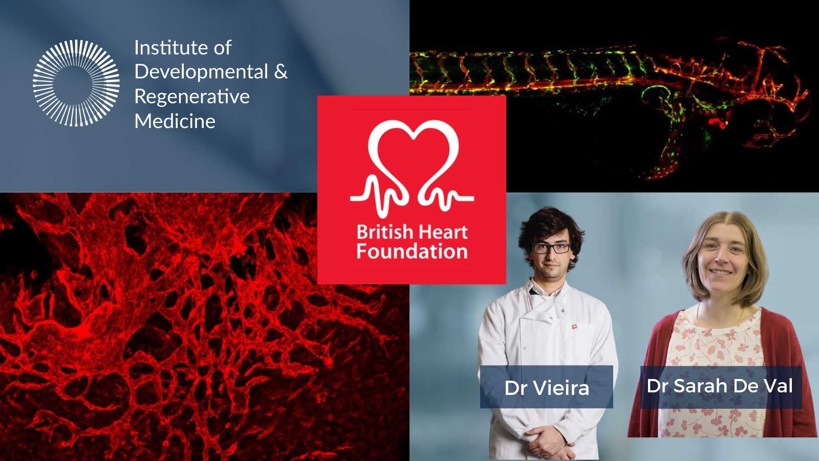BHF London Marathon de val tweet.png