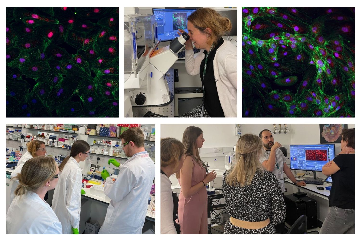 Teacher image compilation.jpg