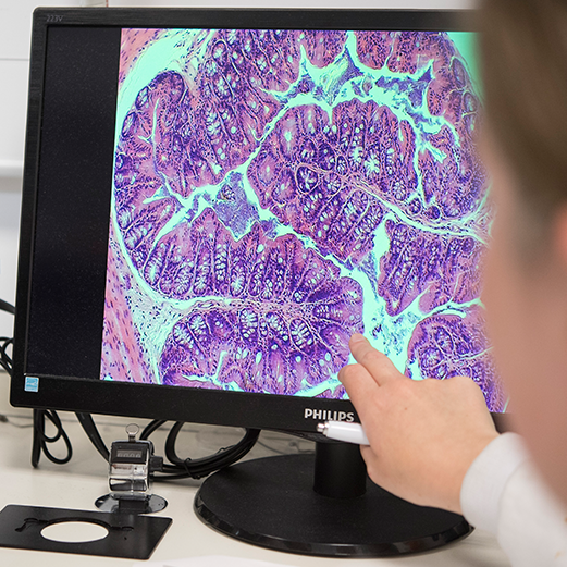 Graphic illustration symbol of people