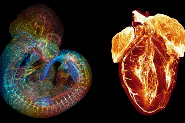 Image competition story.jpg