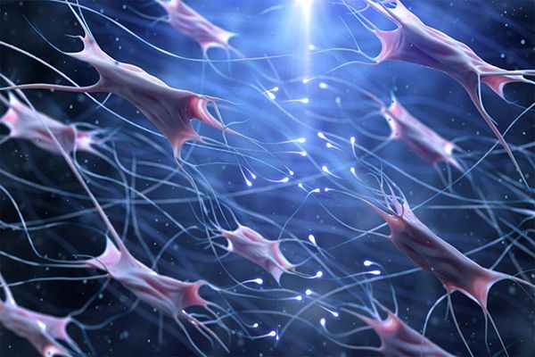 Fibroblasts listing.jpg